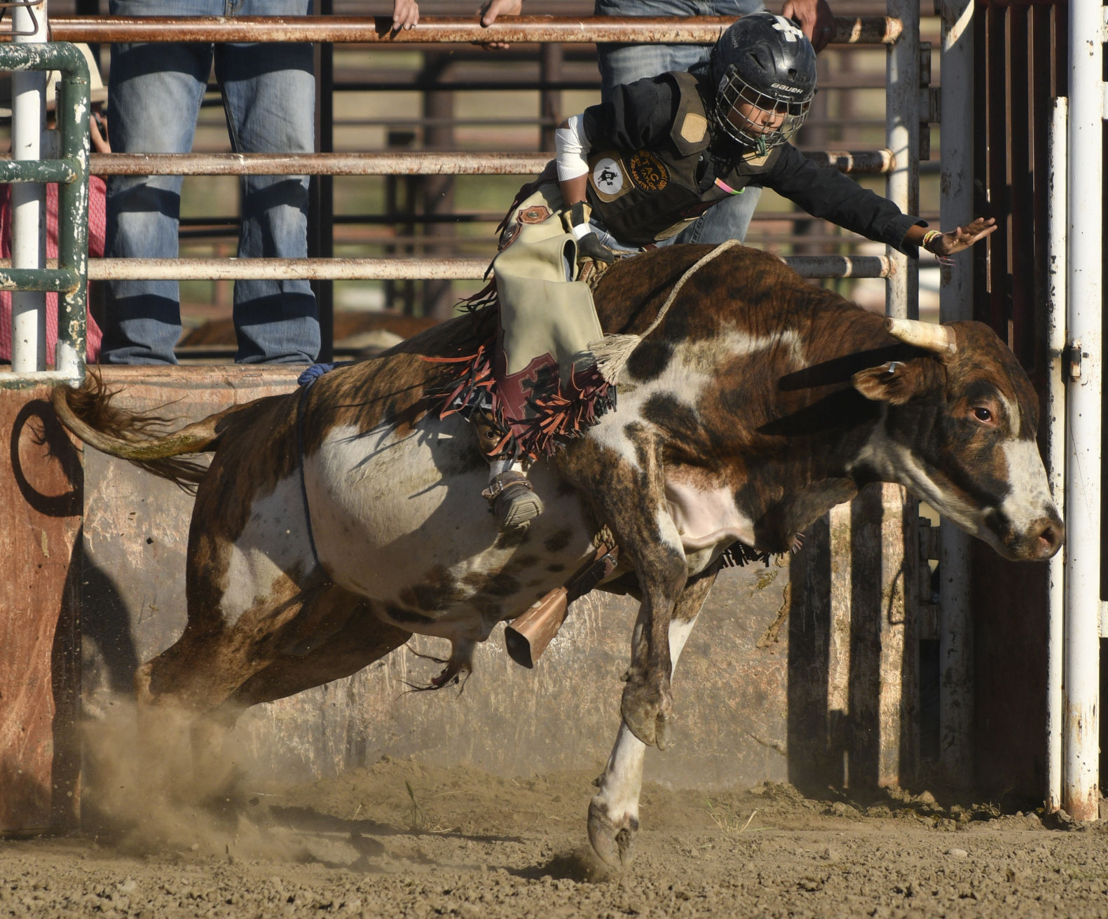 Lincoln County Mini Bull Riding